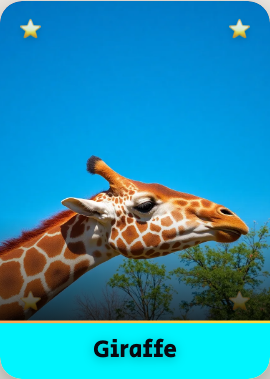 Giraffe